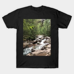 Mountain Stream T-Shirt